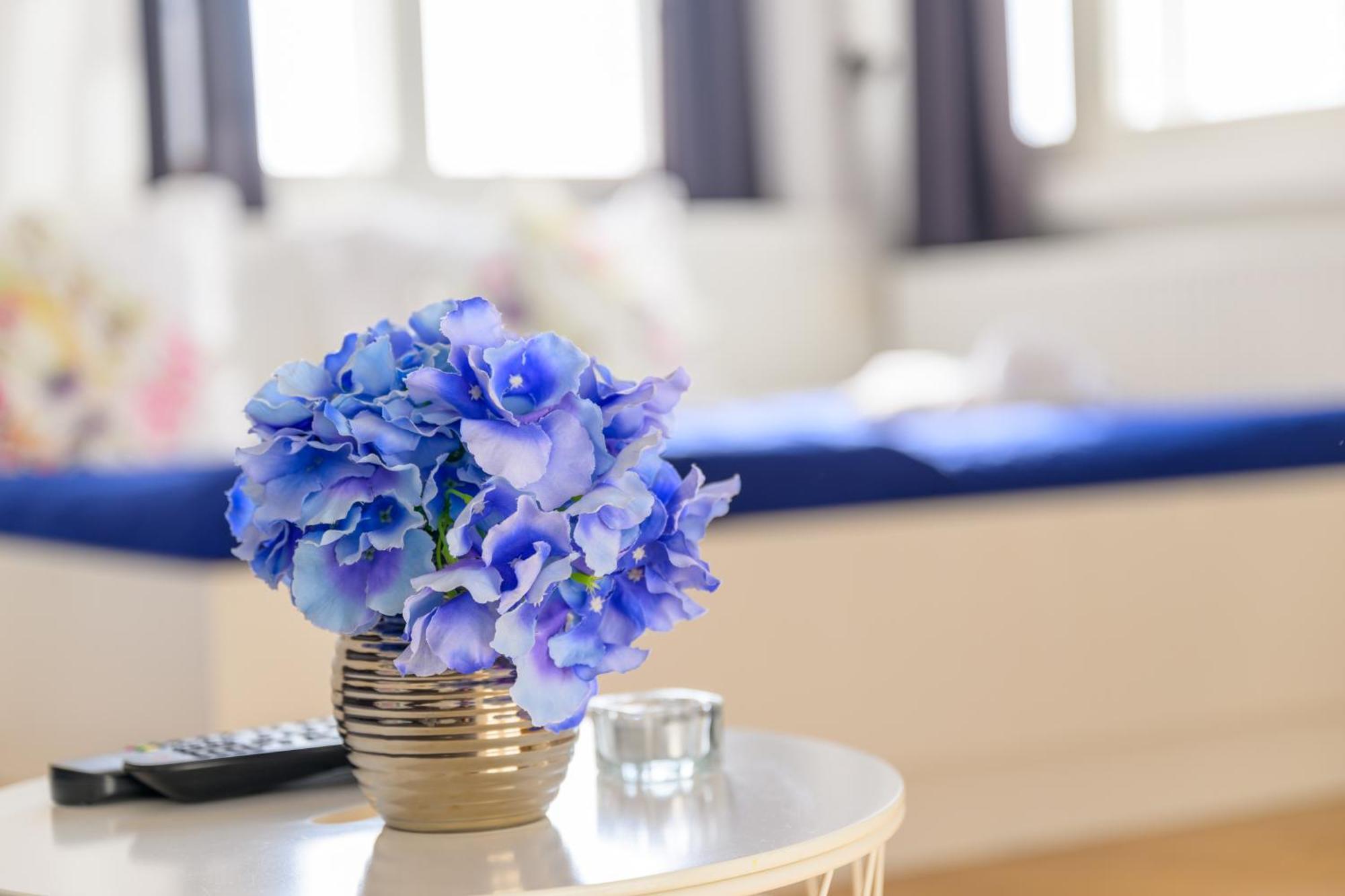 Niva Rooms & Studio Apartment 萨格勒布 外观 照片